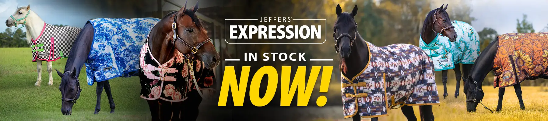 Care for Every Creature